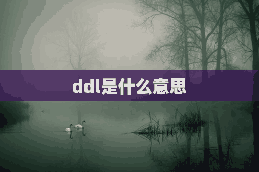 ddl是什么意思(ddl是什么意思网络用语)